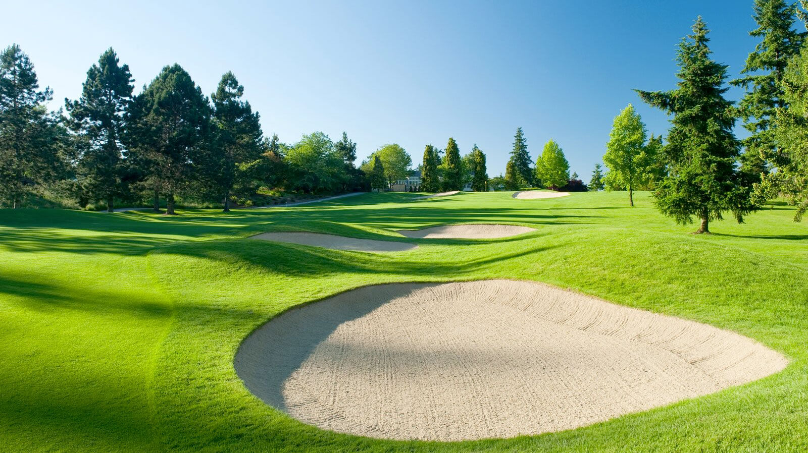 Overlake G&CC, Bellevue, Washington Golf course information and reviews.